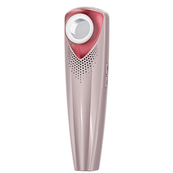 Beauty Machine Mesotherapy Electroporation RF Radio Frequency Facial LED Photon Skin Care Facial Beauty Device